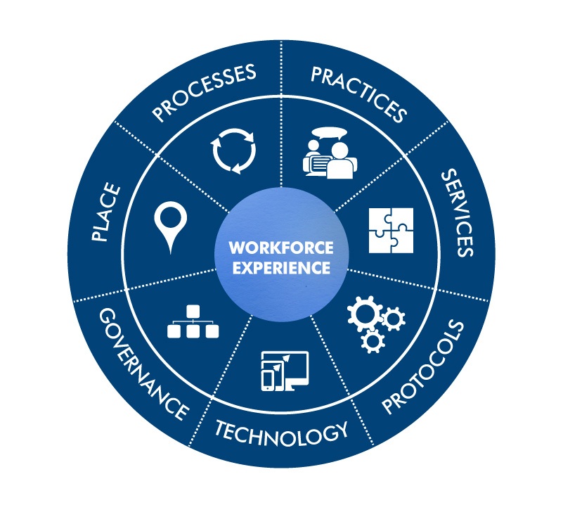 Workforce Experience Graphic_Revived Version-01