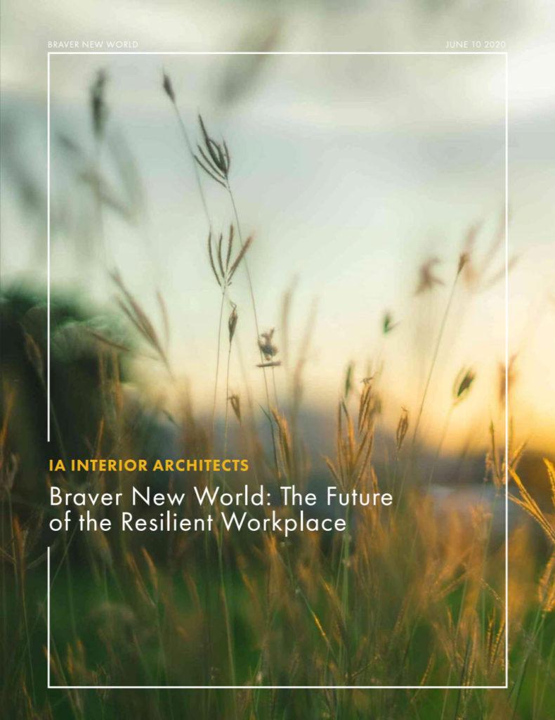 Braver New World