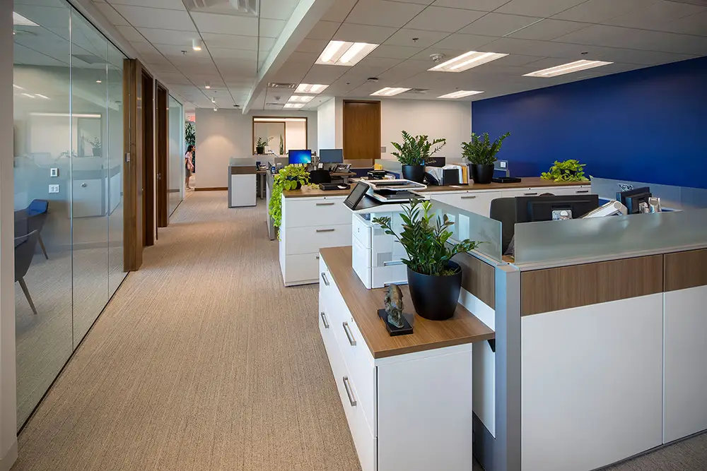 BurkeCGI_Projects_RBCWealthManag (1)