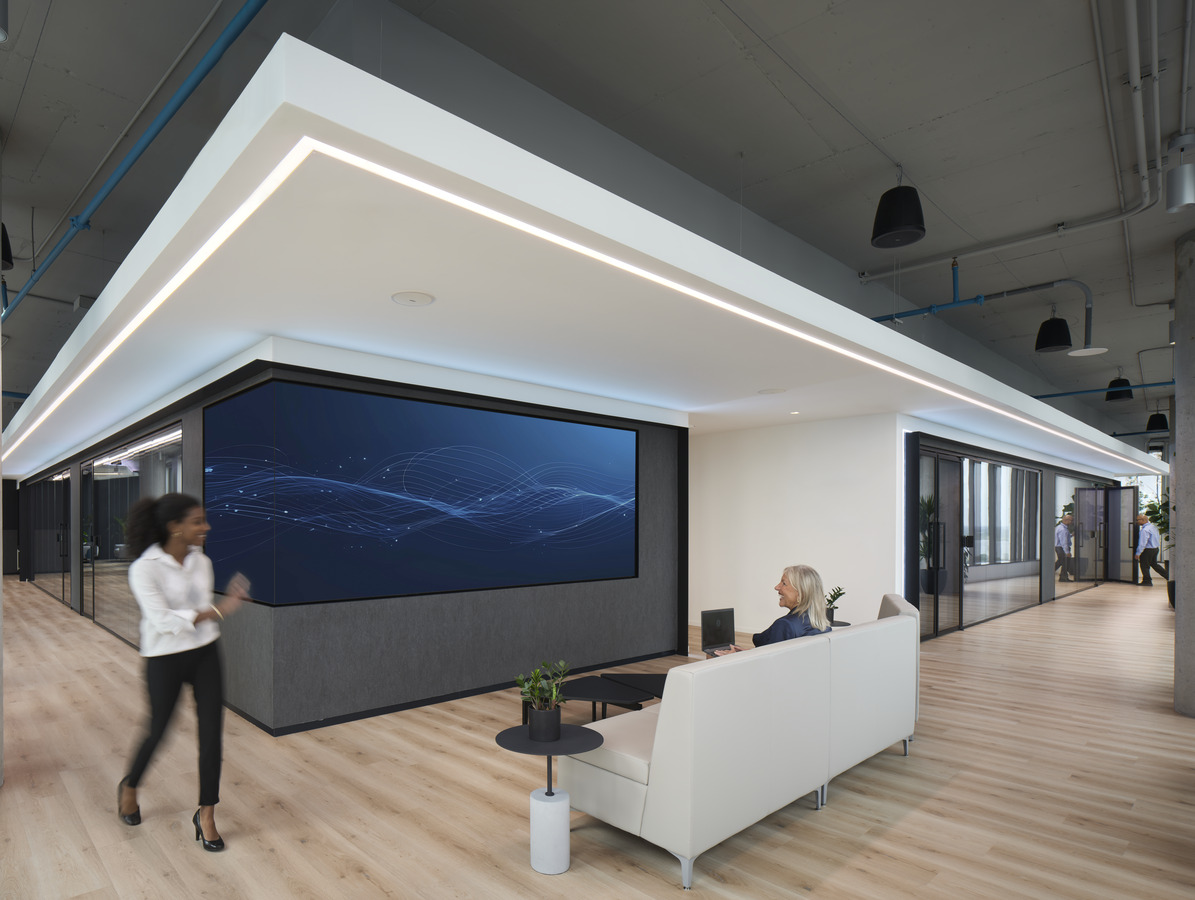 Cyber Security Firm